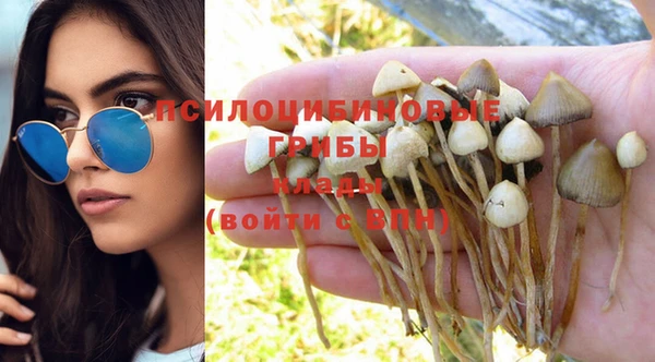 круглые Алексеевка
