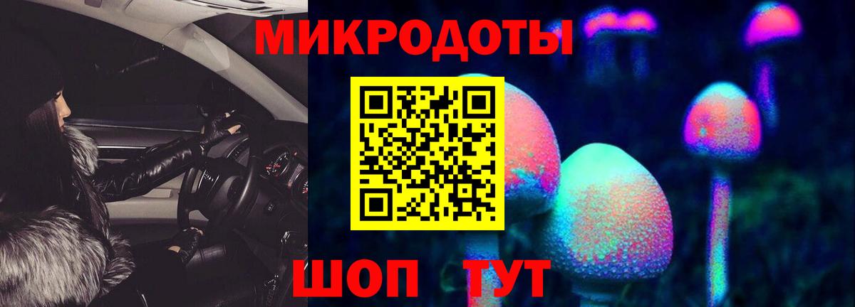 Псилоцибиновые грибы прущие грибы Похвистнево
